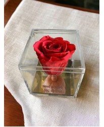 FOREVER ROSE "ΝΟΝΕ & ΝΟΝΑ, ΣΑΣ ΑΓΑΠΩ" ΚΟΚΚΙΝΟ Σπίτι & Γραφείο