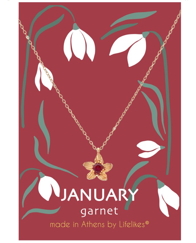 ΚΟΛΙΕ BIRTHSTONE JANUARY Κολιέ