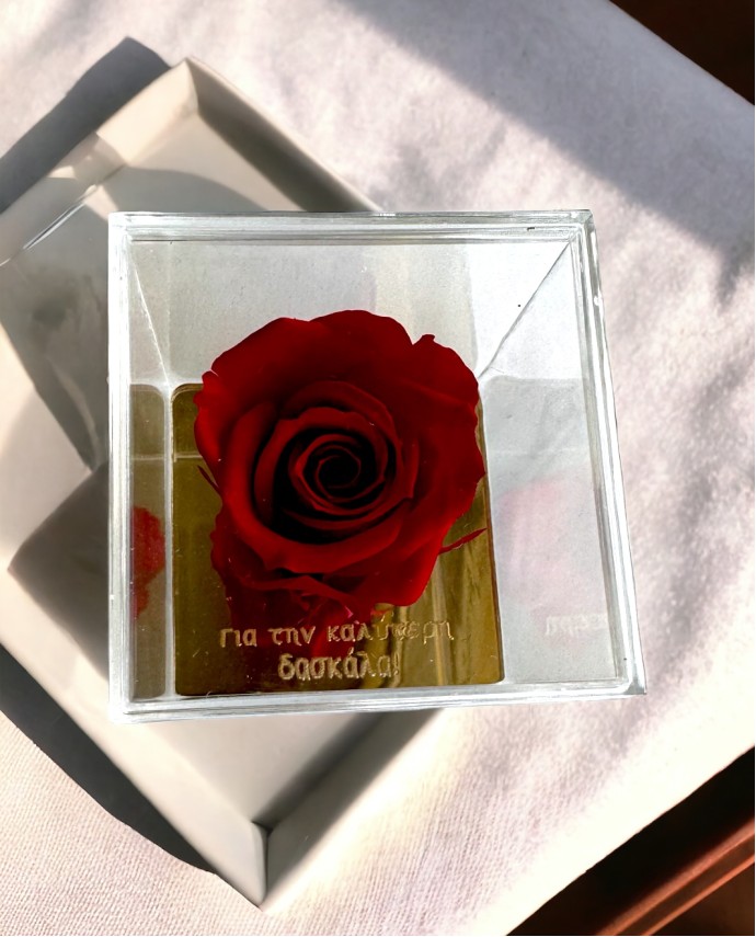 FOREVER ROSE ΓΙΑ ΤΗΝ ΚΑΛΥΤΕΡΗ ΔΑΣΚΑΛΑ Σπίτι & Γραφείο