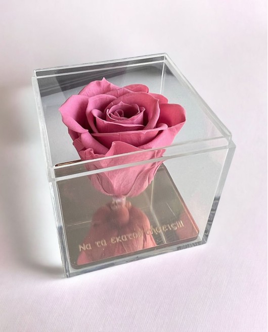 FOREVER ROSE "ΝΑ ΤΑ ΕΚΑΤΟΣΤΗΣΕΙΣ" ΡΟΖ Σπίτι & Γραφείο