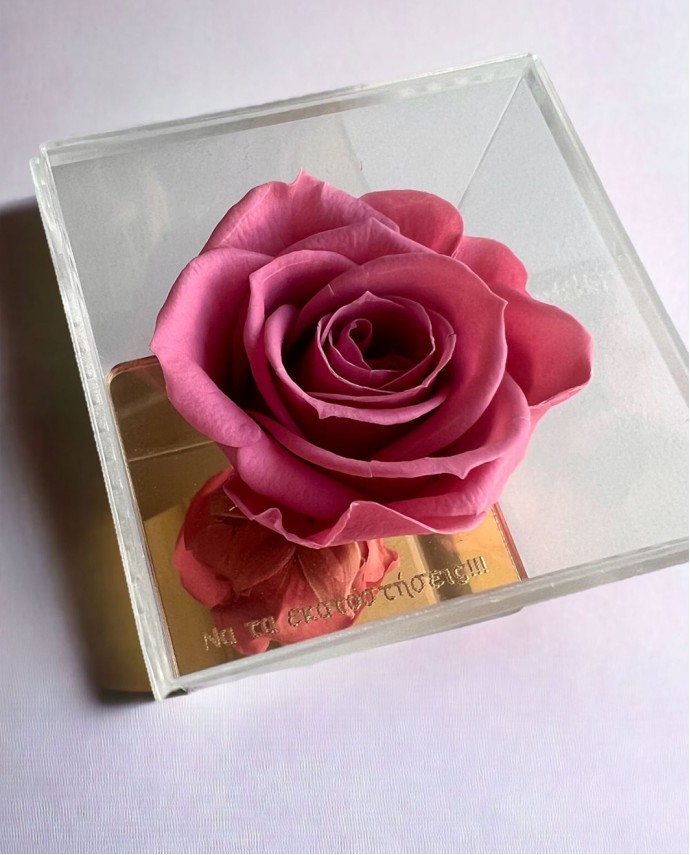 FOREVER ROSE "ΝΑ ΤΑ ΕΚΑΤΟΣΤΗΣΕΙΣ" ΡΟΖ Σπίτι & Γραφείο