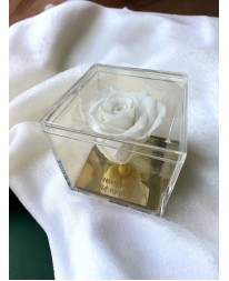 FOREVER ROSE "ΝΟΝΑ ΣΕ ΑΓΑΠΩ" ΛΕΥΚΟ Σπίτι & Γραφείο