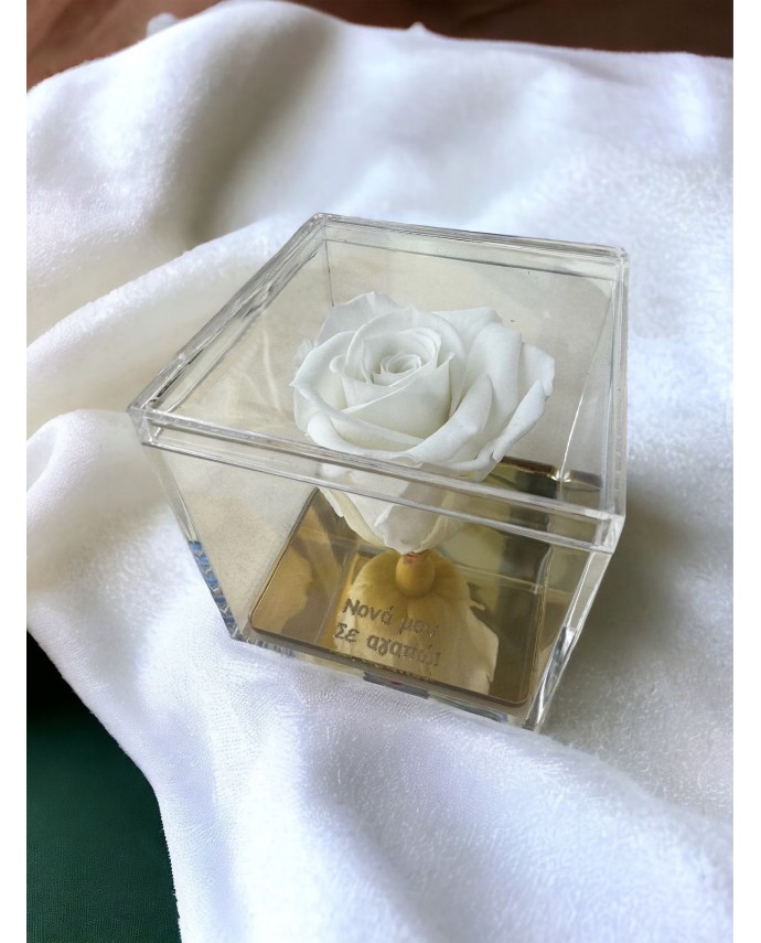 FOREVER ROSE "ΝΟΝΑ ΣΕ ΑΓΑΠΩ" ΛΕΥΚΟ Σπίτι & Γραφείο