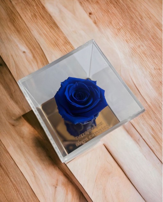 FOREVER ROSE "ΠΑΝΤΑ ΕΠΙΤΥΧΙΕΣ" ΜΠΛΕ Σπίτι & Γραφείο