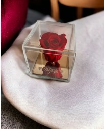 FOREVER ROSE "ΣΑΓΑΠΩ" Σπίτι & Γραφείο