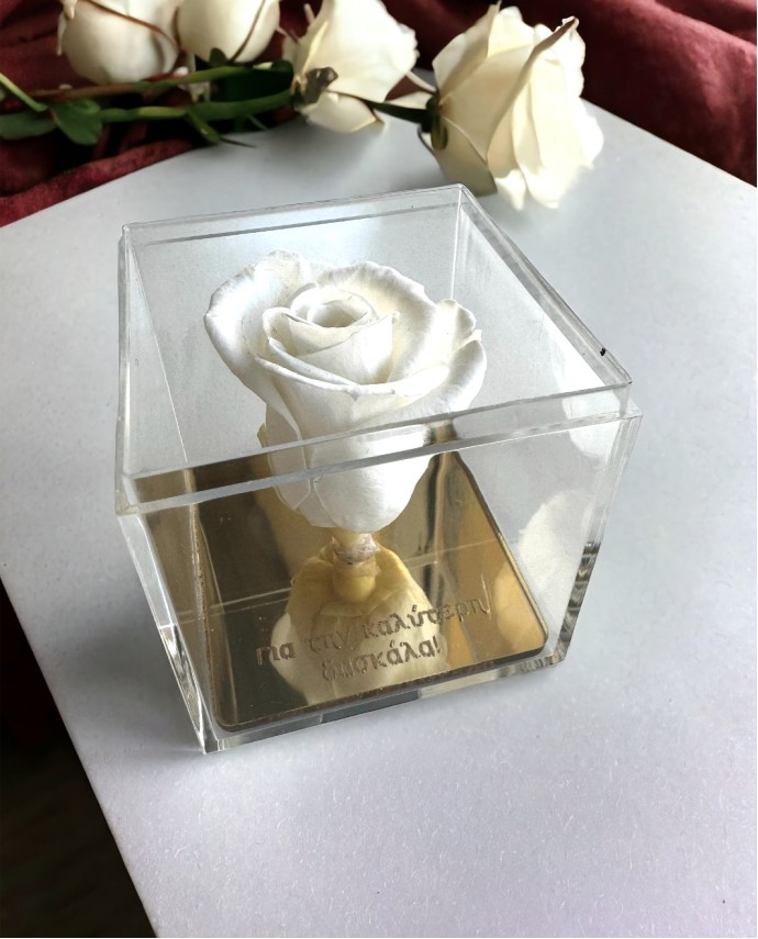 FOREVER ROSE ΓΙΑ ΤΗΝ ΚΑΛΥΤΕΡΗ ΔΑΣΚΑΛΑ Σπίτι & Γραφείο