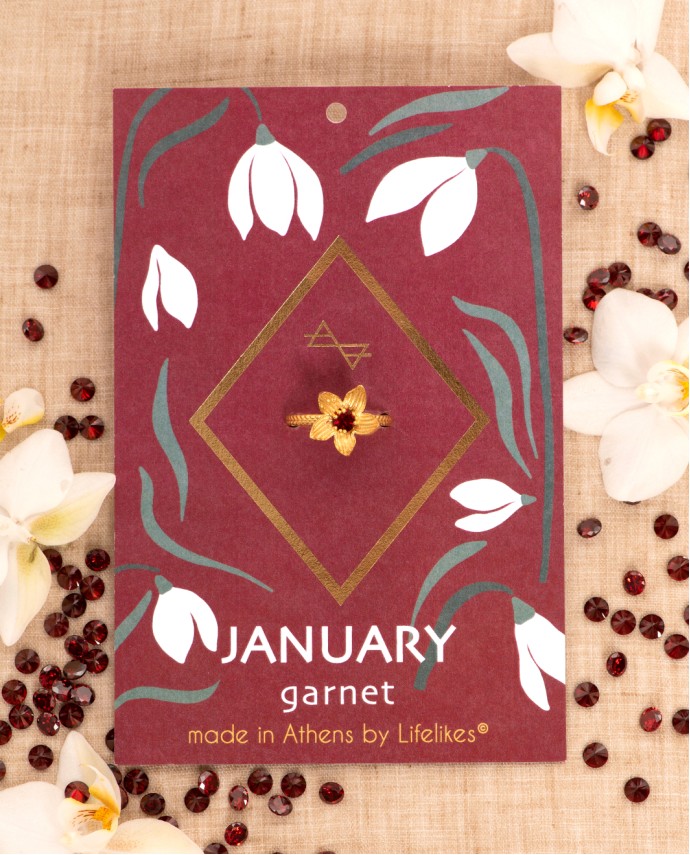 ΔΑΧΤΥΛΙΔΙ BIRTHSTONE JANUARY Κοσμήματα