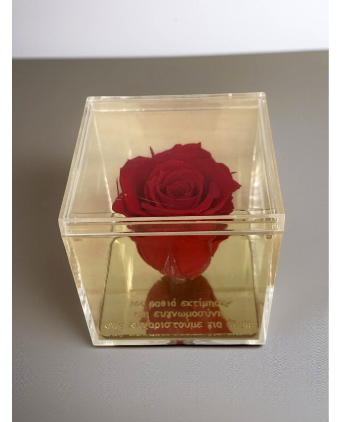 FOREVER ROSE ΓΙΑ ΤΗΝ ΚΑΛΥΤΕΡΗ ΔΑΣΚΑΛΑ Σπίτι & Γραφείο