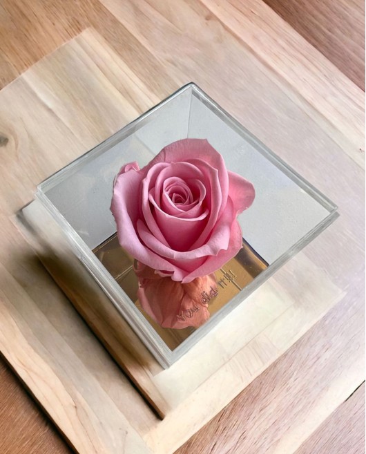 FOREVER ROSE "YOU DID IT" ΡΟΖ Σπίτι & Γραφείο