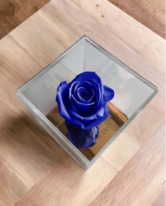 FOREVER ROSE "ΝΑ ΣΑΣ ΖΗΣΕΙ" ΜΠΛΕ Σπίτι & Γραφείο