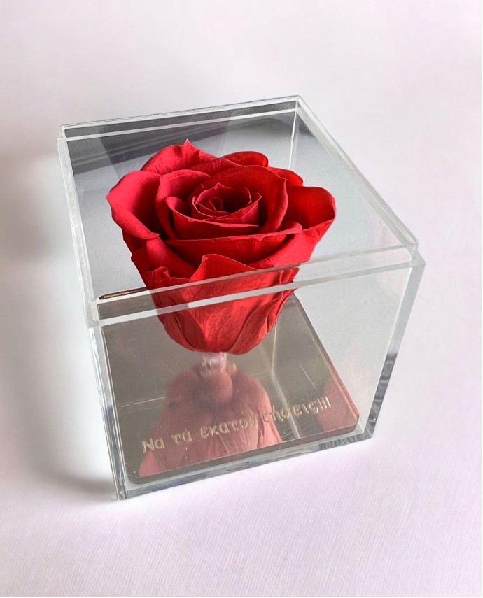 FOREVER ROSE "ΝΑ ΤΑ ΕΚΑΤΟΣΤΗΣΕΙΣ" ΚΟΚΚΙΝΟ Σπίτι & Γραφείο