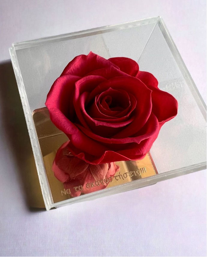 FOREVER ROSE "ΝΑ ΤΑ ΕΚΑΤΟΣΤΗΣΕΙΣ" ΚΟΚΚΙΝΟ Σπίτι & Γραφείο