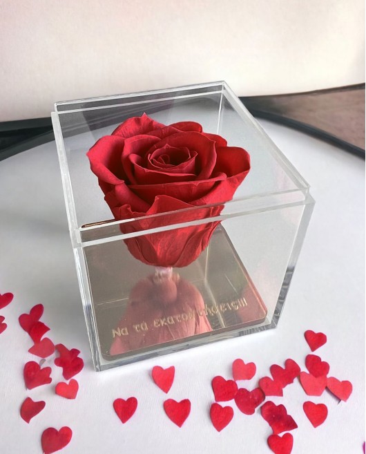 FOREVER ROSE "ΝΑ ΤΑ ΕΚΑΤΟΣΤΗΣΕΙΣ" ΚΟΚΚΙΝΟ Σπίτι & Γραφείο