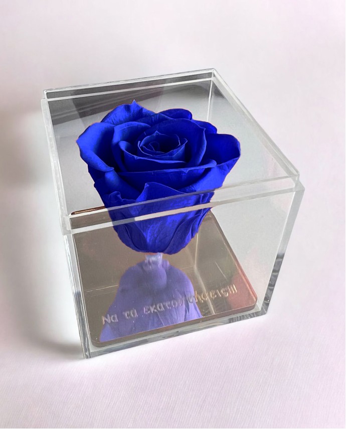 FOREVER ROSE "ΝΑ ΤΑ ΕΚΑΤΟΣΤΗΣΕΙΣ" ΜΠΛΕ Σπίτι & Γραφείο