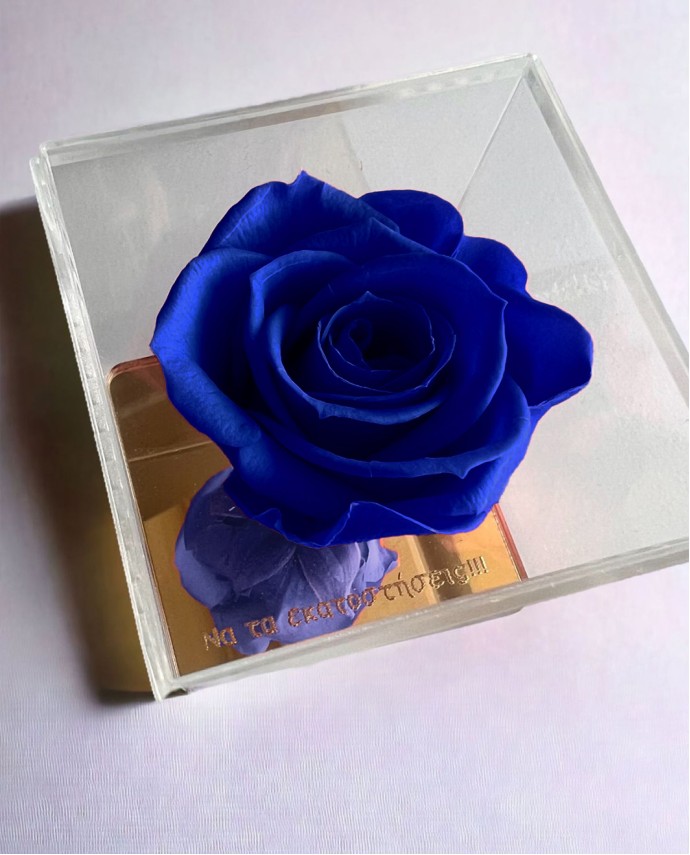 FOREVER ROSE "ΝΑ ΤΑ ΕΚΑΤΟΣΤΗΣΕΙΣ" ΜΠΛΕ Σπίτι & Γραφείο