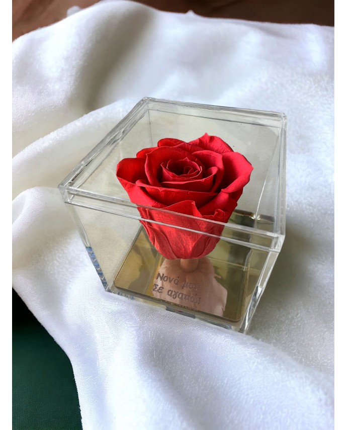 FOREVER ROSE "ΝΟΝΑ ΣΕ ΑΓΑΠΩ" ΚΟΚΚΙΝΟ Σπίτι & Γραφείο