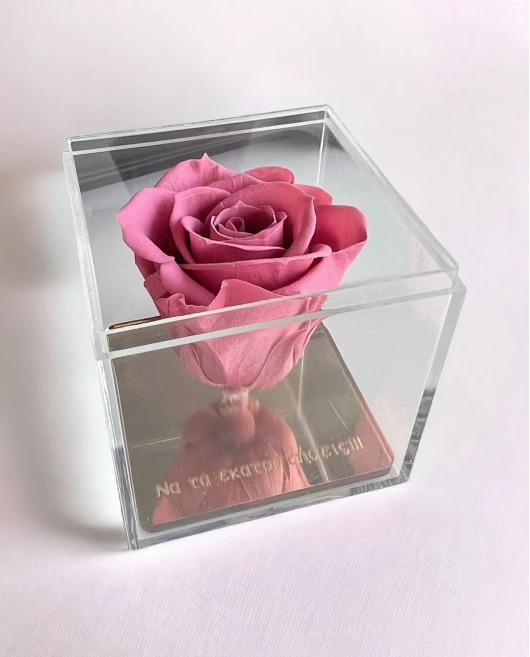FOREVER ROSE "ΝΑ ΤΑ ΕΚΑΤΟΣΤΗΣΕΙΣ" ΡΟΖ Σπίτι & Γραφείο