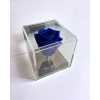 ΜΠΛΕ  + 15,00€ 