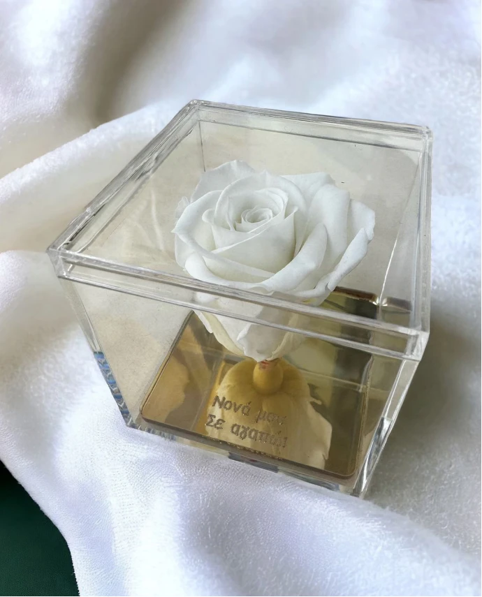 FOREVER ROSE ΜΕ ΤΗ ΔΙΚΗ ΣΟΥ ΦΡΑΣΗ Γενέθλια