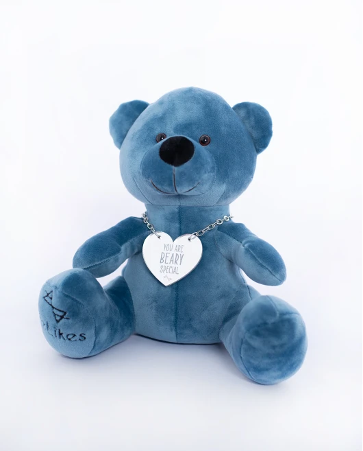 ΒΕΛΟΥΔΙΝΟΣ ΑΡΚΟΥΔΟΣ "YOU ARE BEARY SPECIAL" Λούτρινα